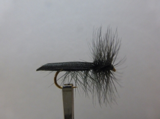 Size 14 Black Sedge horned barbless